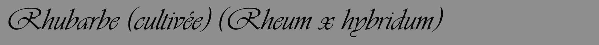 Étiquette de : Rheum x hybridum - format a - style noire25viv avec comestibilité
