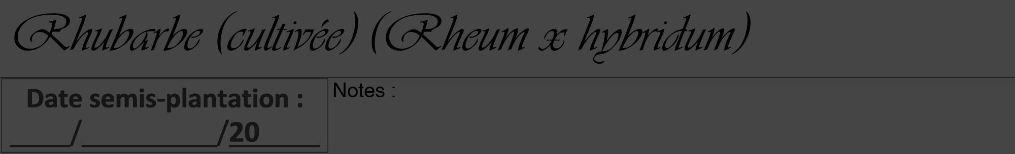 Étiquette de : Rheum x hybridum - format a - style noire58viv avec comestibilité