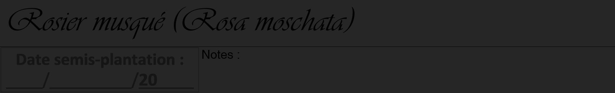 Étiquette de : Rosa moschata - format a - style noire29viv avec comestibilité
