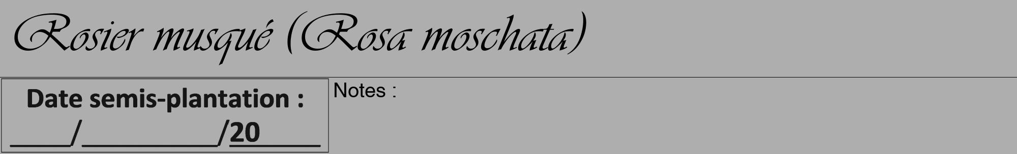 Étiquette de : Rosa moschata - format a - style noire53viv avec comestibilité