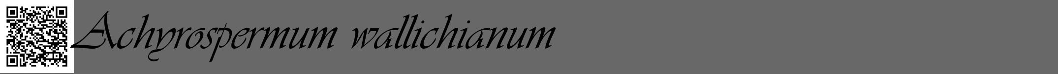 Étiquette de : Achyrospermum wallichianum - format a - style noire6viv avec qrcode et comestibilité
