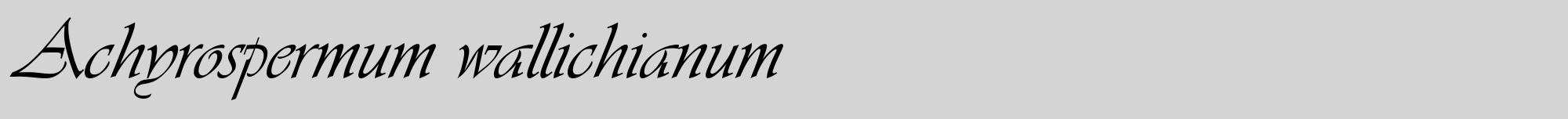 Étiquette de : Achyrospermum wallichianum - format a - style noire40viv avec comestibilité