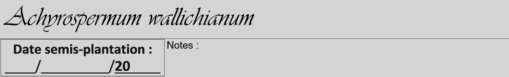 Étiquette de : Achyrospermum wallichianum - format a - style noire40viv avec comestibilité