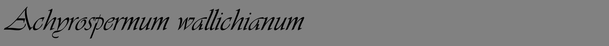 Étiquette de : Achyrospermum wallichianum - format a - style noire50viv avec comestibilité