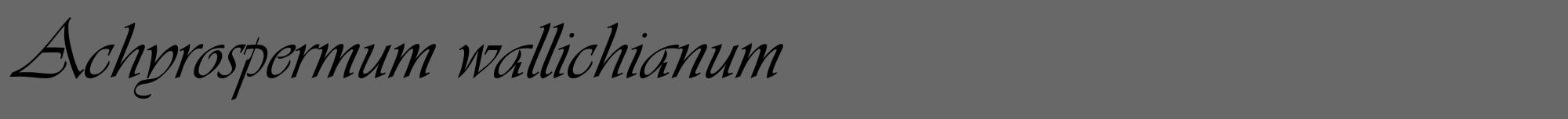 Étiquette de : Achyrospermum wallichianum - format a - style noire6viv avec comestibilité