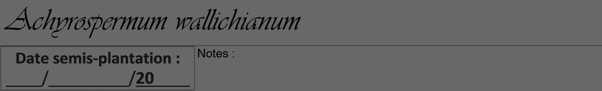 Étiquette de : Achyrospermum wallichianum - format a - style noire6viv avec comestibilité