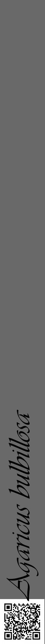 Étiquette de : Agaricus bulbillosa - format a - style noire11viv avec qrcode et comestibilité - position verticale