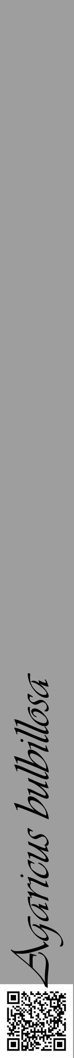 Étiquette de : Agaricus bulbillosa - format a - style noire42viv avec qrcode et comestibilité - position verticale