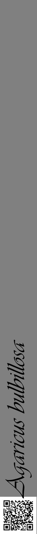 Étiquette de : Agaricus bulbillosa - format a - style noire57viv avec qrcode et comestibilité