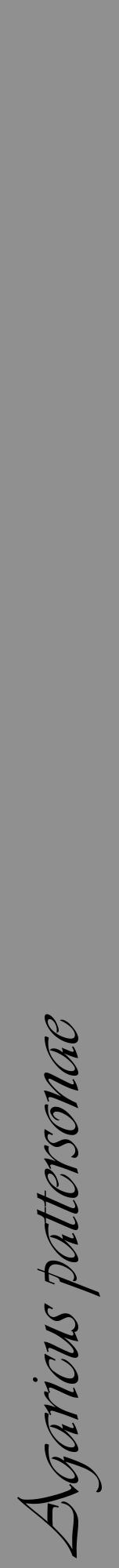 Étiquette de : Agaricus pattersonae - format a - style noire4viv avec comestibilité - position verticale
