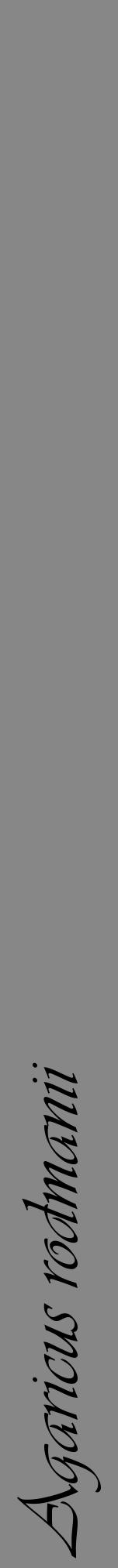 Étiquette de : Agaricus rodmanii - format a - style noire12viv avec comestibilité - position verticale