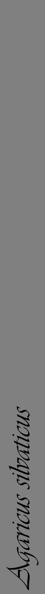 Étiquette de : Agaricus silvaticus - format a - style noire57viv avec comestibilité