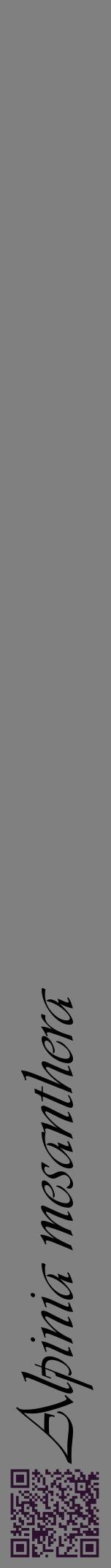 Étiquette de : Alpinia mesanthera - format a - style noire57viv avec qrcode et comestibilité
