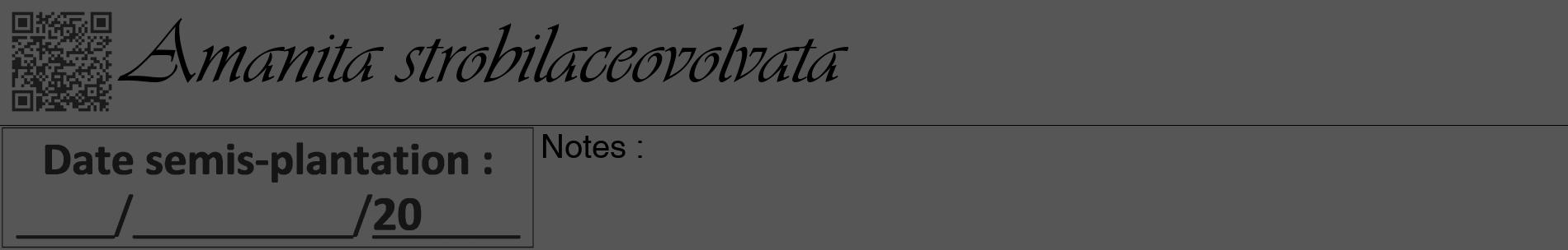Étiquette de : Amanita strobilaceovolvata - format a - style noire45basiqueviv avec qrcode et comestibilité