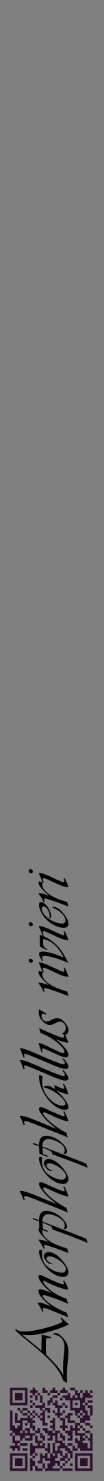 Étiquette de : Amorphophallus rivieri - format a - style noire57viv avec qrcode et comestibilité