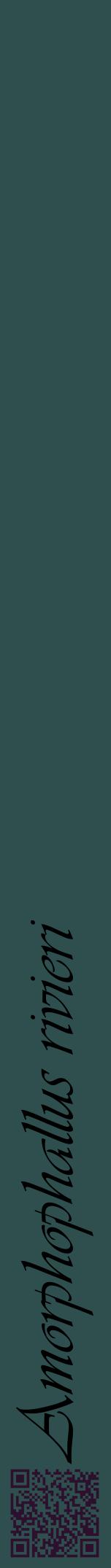 Étiquette de : Amorphophallus rivieri - format a - style noire58viv avec qrcode et comestibilité