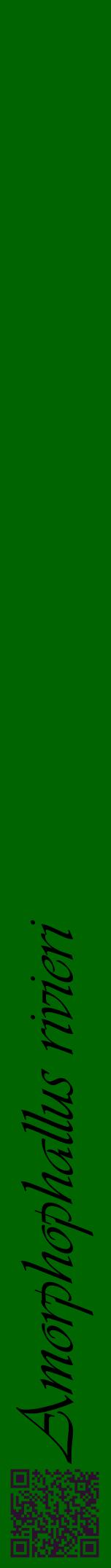 Étiquette de : Amorphophallus rivieri - format a - style noire8viv avec qrcode et comestibilité