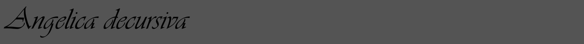 Étiquette de : Angelica decursiva - format a - style noire36viv avec comestibilité