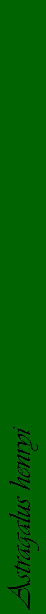 Étiquette de : Astragalus henryi - format a - style noire8viv avec comestibilité