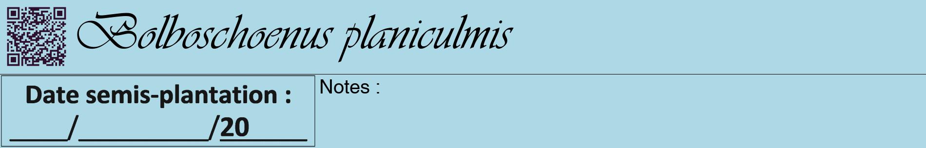 Étiquette de : Bolboschoenus planiculmis - format a - style noire0basiqueviv avec qrcode et comestibilité