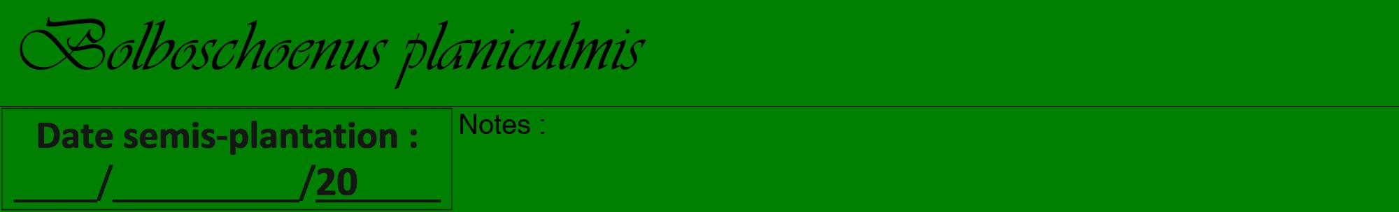 Étiquette de : Bolboschoenus planiculmis - format a - style noire9viv avec comestibilité