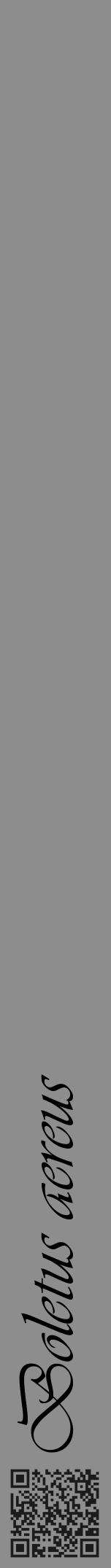 Étiquette de : Boletus aereus - format a - style noire2viv avec qrcode et comestibilité - position verticale