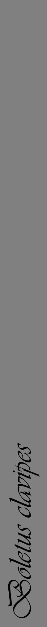 Étiquette de : Boletus clavipes - format a - style noire57viv avec comestibilité