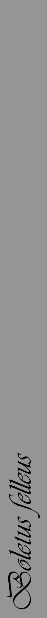 Étiquette de : Boletus felleus - format a - style noire16viv avec comestibilité - position verticale
