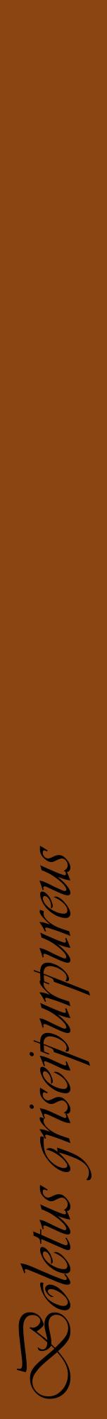 Étiquette de : Boletus griseipurpureus - format a - style noire30viv avec comestibilité