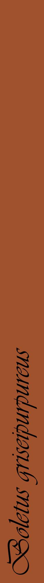 Étiquette de : Boletus griseipurpureus - format a - style noire32viv avec comestibilité