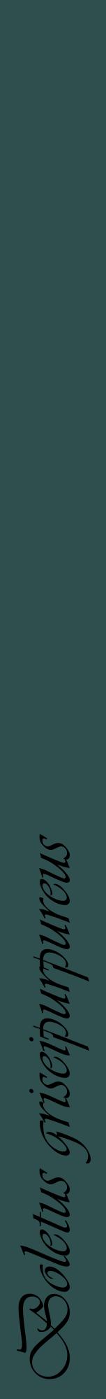 Étiquette de : Boletus griseipurpureus - format a - style noire58viv avec comestibilité