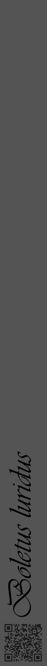Étiquette de : Boletus luridus - format a - style noire36viv avec qrcode et comestibilité - position verticale