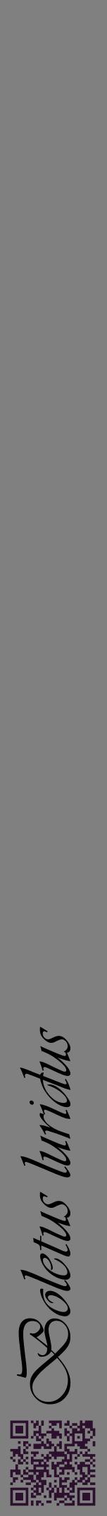 Étiquette de : Boletus luridus - format a - style noire57viv avec qrcode et comestibilité