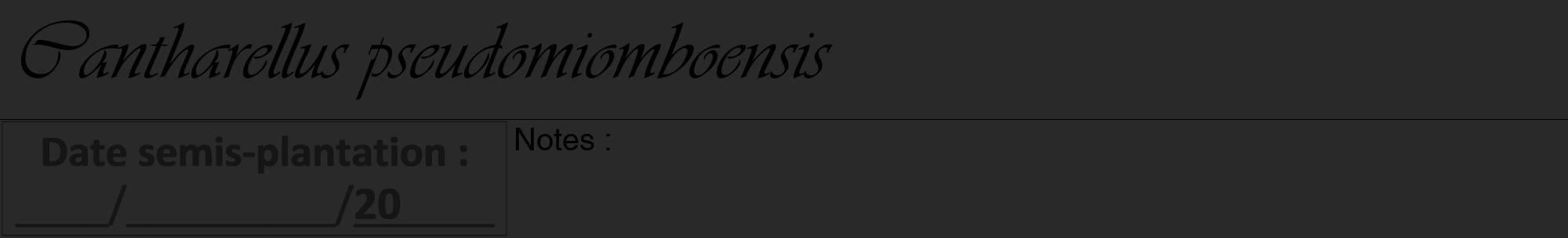 Étiquette de : Cantharellus pseudomiomboensis - format a - style noire34viv avec comestibilité