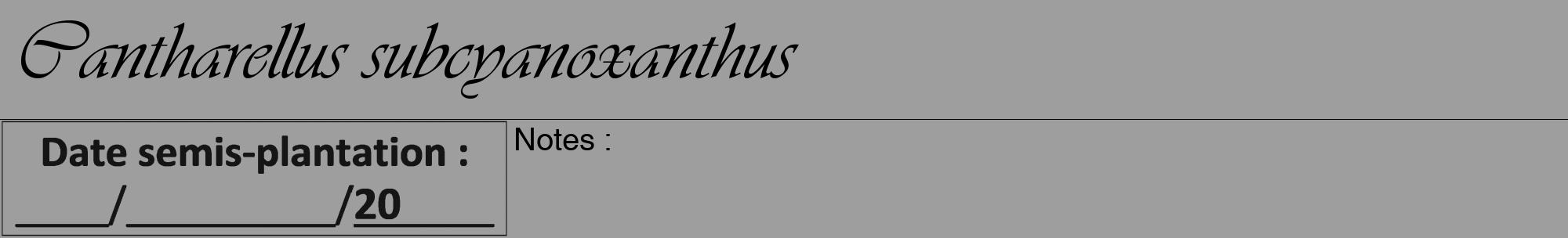 Étiquette de : Cantharellus subcyanoxanthus - format a - style noire23viv avec comestibilité