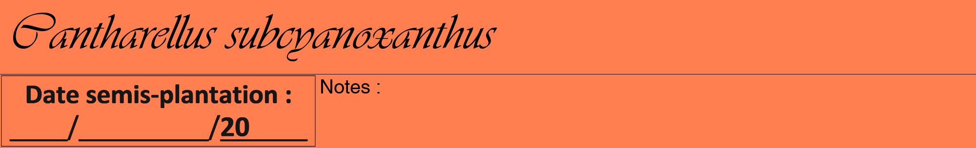 Étiquette de : Cantharellus subcyanoxanthus - format a - style noire24viv avec comestibilité