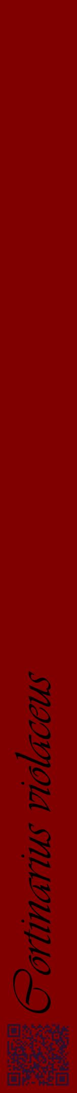 Étiquette de : Cortinarius violaceus - format a - style noire29viv avec qrcode et comestibilité