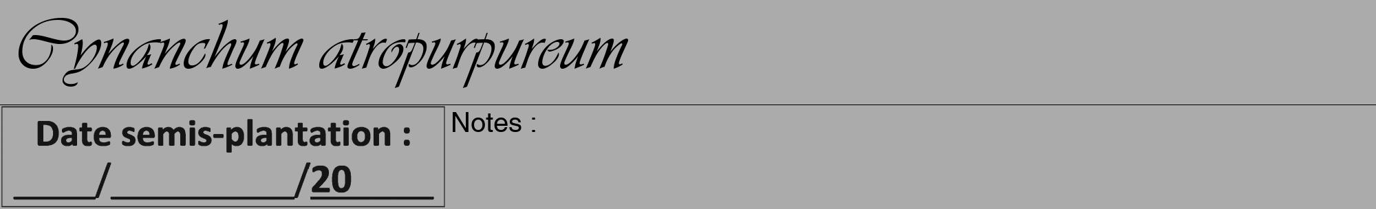 Étiquette de : Cynanchum atropurpureum - format a - style noire37viv avec comestibilité