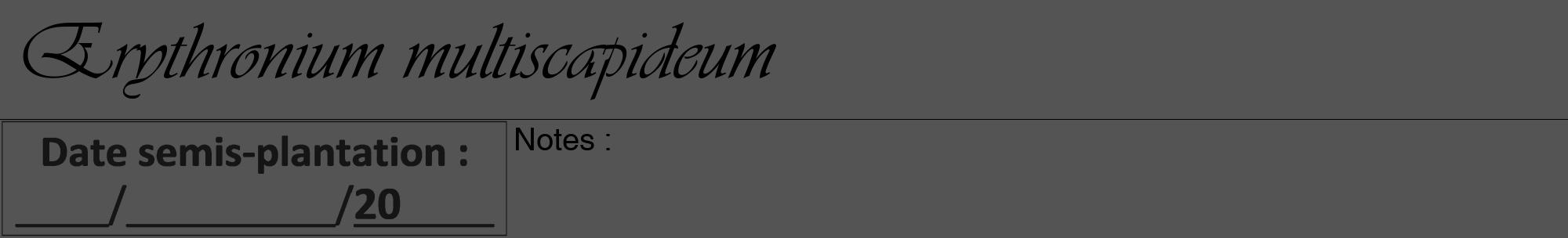 Étiquette de : Erythronium multiscapideum - format a - style noire36viv avec comestibilité