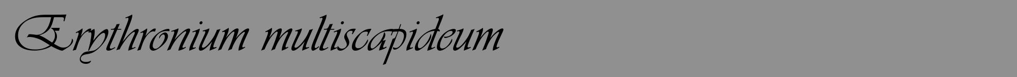 Étiquette de : Erythronium multiscapideum - format a - style noire4viv avec comestibilité