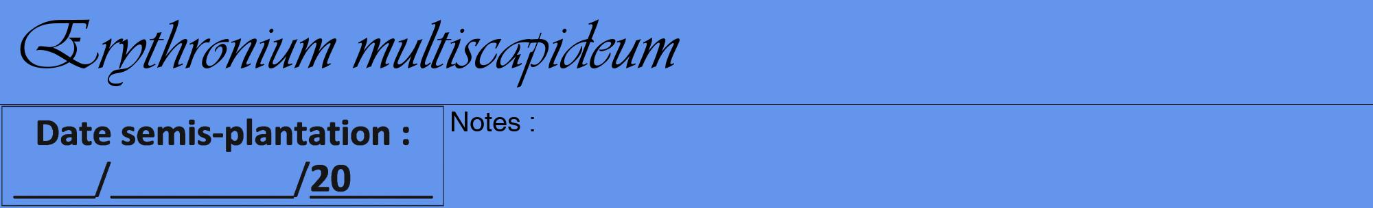 Étiquette de : Erythronium multiscapideum - format a - style noire4viv avec comestibilité