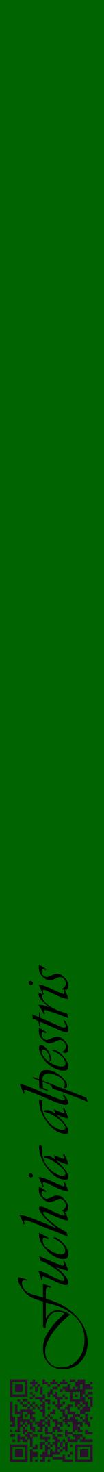 Étiquette de : Fuchsia alpestris - format a - style noire8viv avec qrcode et comestibilité