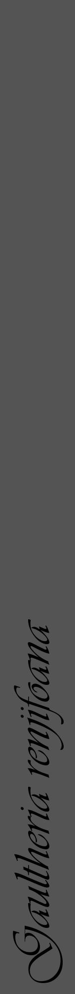 Étiquette de : Gaultheria renjifoana - format a - style noire30viv avec comestibilité - position verticale