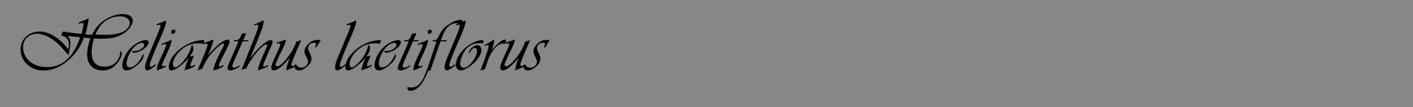 Étiquette de : Helianthus laetiflorus - format a - style noire12viv avec comestibilité