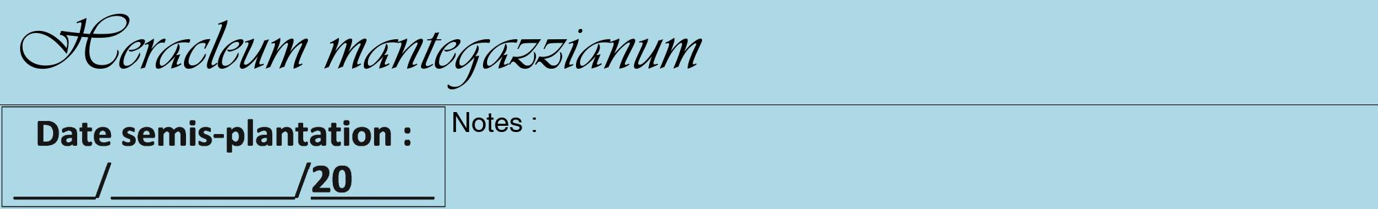 Étiquette de : Heracleum mantegazzianum - format a - style noire0viv avec comestibilité
