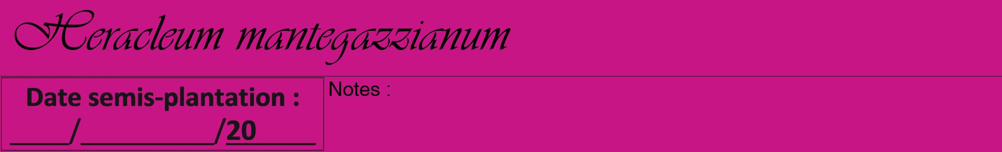 Étiquette de : Heracleum mantegazzianum - format a - style noire45viv avec comestibilité