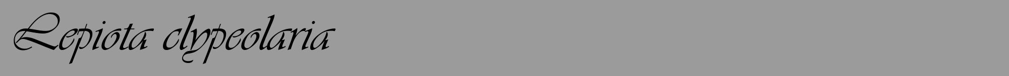Étiquette de : Lepiota clypeolaria - format a - style noire52viv avec comestibilité