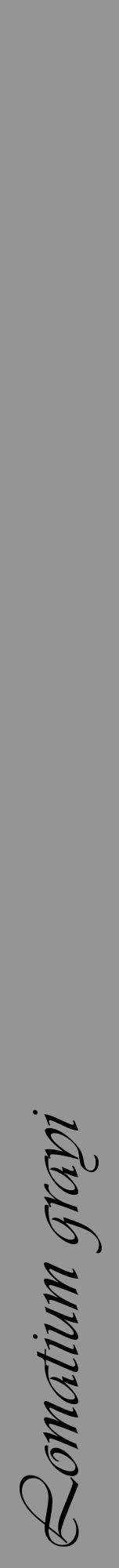 Étiquette de : Lomatium grayi - format a - style noire16viv avec comestibilité - position verticale