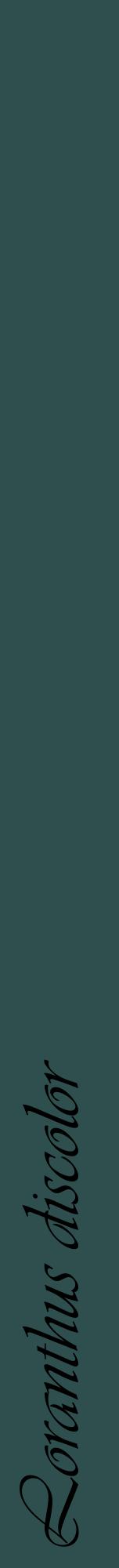 Étiquette de : Loranthus discolor - format a - style noire58viv avec comestibilité