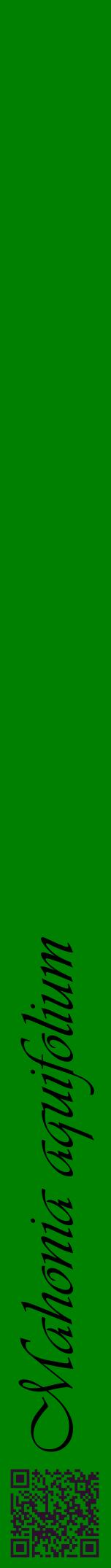 Étiquette de : Mahonia aquifolium - format a - style noire9viv avec qrcode et comestibilité